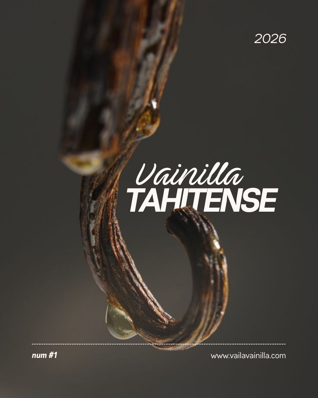 Revista Vaila Vainilla