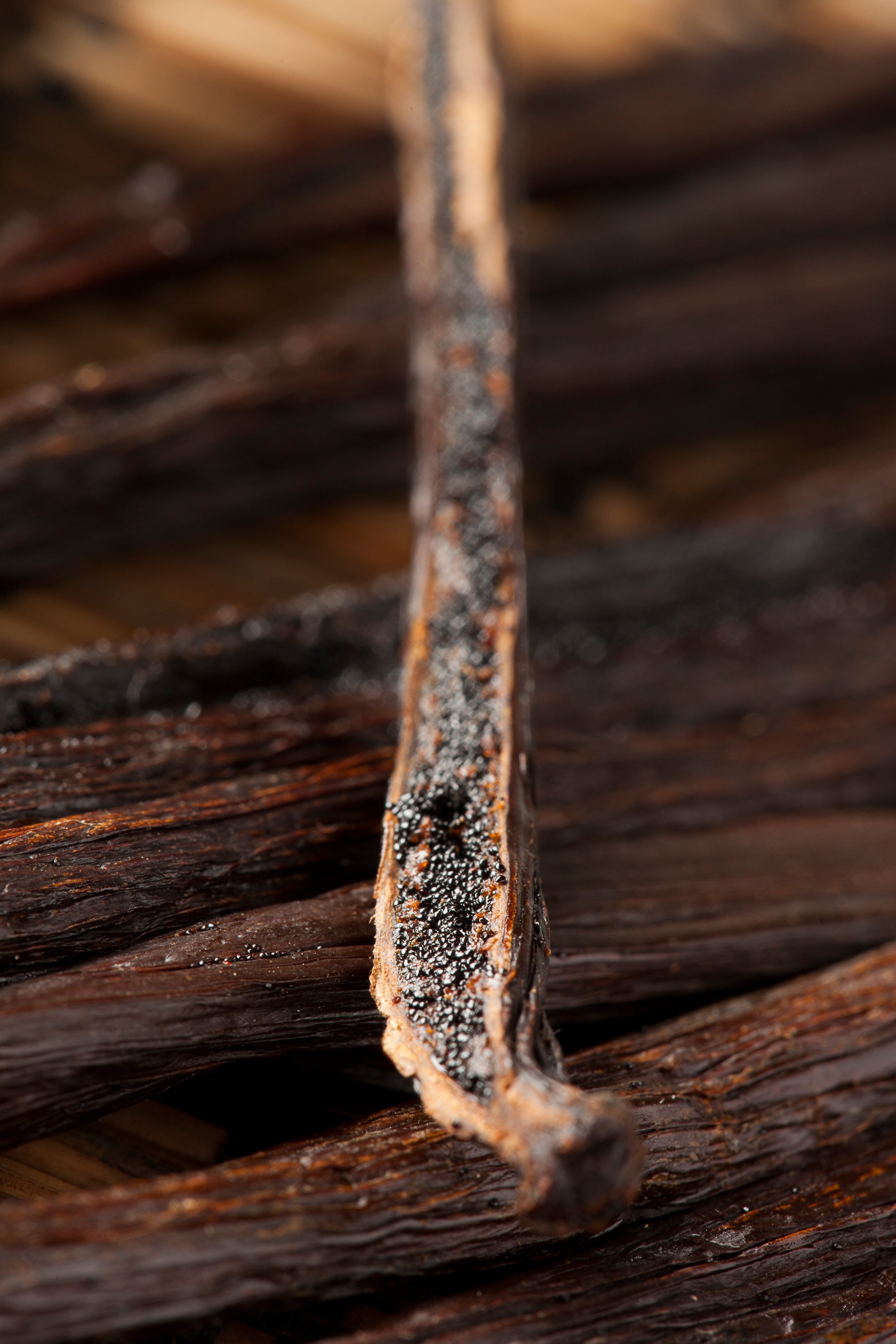 Innovación con raíces